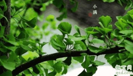 2021年小滿節(jié)氣搬家好嗎 節(jié)氣當(dāng)天可以搬家嗎1