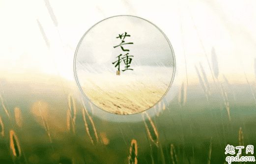 2021芒種適合結(jié)婚嗎 2021年6月6日適合結(jié)婚么1