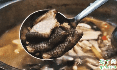 有人愛(ài)吃野味是為什么 為什么不能吃野味 2