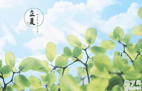 2021年什么時(shí)候立夏 2021年立夏是幾點(diǎn)4