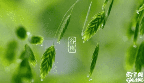 2021年谷雨是幾月幾號 2021年谷雨節(jié)氣幾點(diǎn)開始1