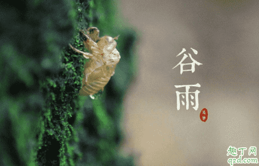 2021年谷雨是幾月幾號 2021年谷雨節(jié)氣幾點(diǎn)開始4
