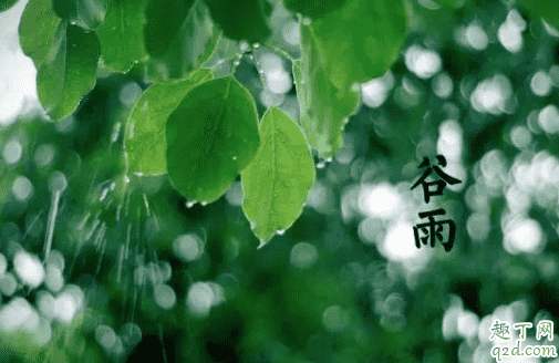 2021年谷雨是幾月幾號 2021年谷雨節(jié)氣幾點(diǎn)開始3