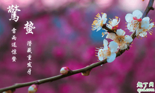 2021年幾點(diǎn)幾分驚蟄 2021年驚蟄適合結(jié)婚嗎1