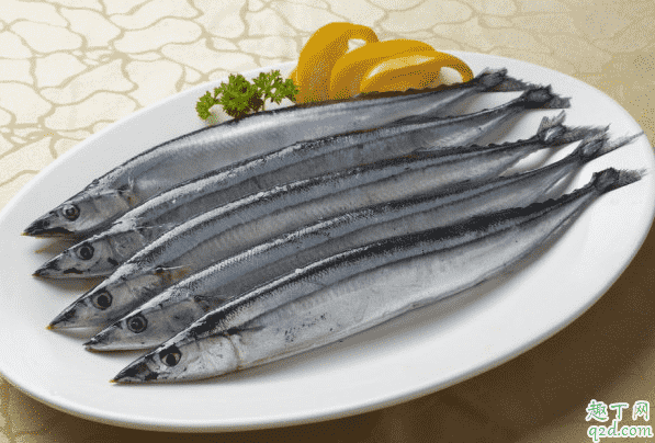 為什么刀魚這么貴 刀魚和帶魚一樣嗎1