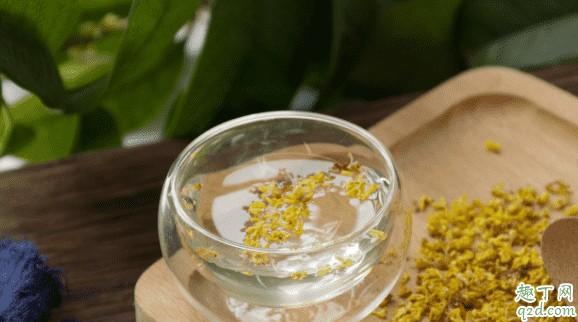 自己曬的桂花能當茶喝嗎 桂花與什么茶一起泡好3