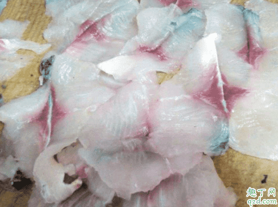 魚(yú)片怎么切不會(huì)散 片魚(yú)片怎么片的3