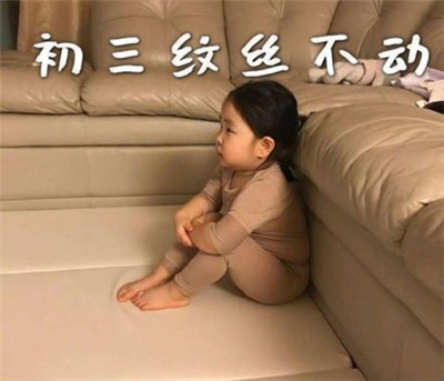 朋友圈春節(jié)待在家表情包帶字2020 初一一動不動初二按兵不動4
