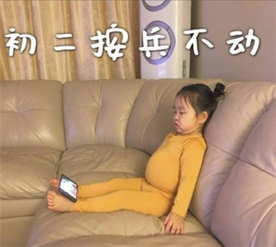 朋友圈春節(jié)待在家表情包帶字2020 初一一動不動初二按兵不動3