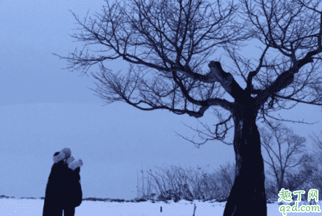 小紅書(shū)下雪濾鏡在哪 小紅書(shū)動(dòng)態(tài)下雪濾鏡教程20201