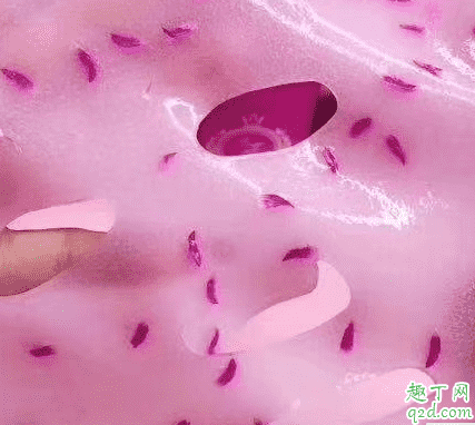 冰亦花瓣面膜怎么樣 冰亦花瓣面膜使用測評 4