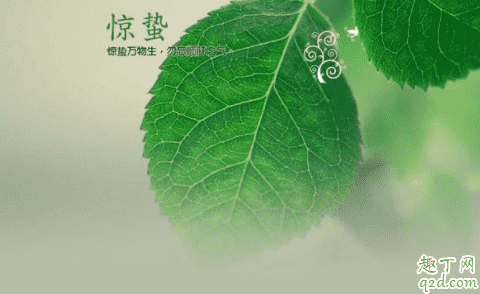 驚蟄哪三樣東西要扔掉 為什么驚蟄有人扔咸菜 4