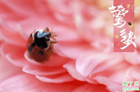 驚蟄刮北風(fēng)不好嗎 驚蟄刮北風(fēng)代表什么 4
