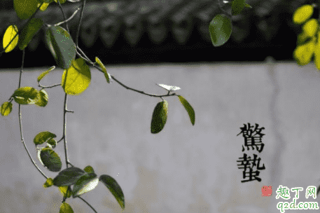 驚蟄刮北風(fēng)不好嗎 驚蟄刮北風(fēng)代表什么 3