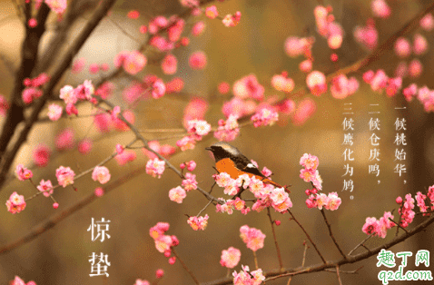 驚蟄刮北風(fēng)不好嗎 驚蟄刮北風(fēng)代表什么 2