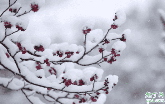 2021年大雪是什么時間 2021年大雪幾點(diǎn)開始4