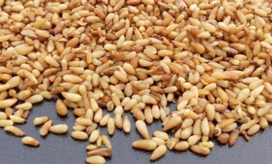 10種最佳補腎食物 增氣力壯筋骨迅速恢復體力