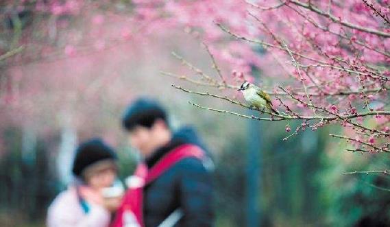 春季養(yǎng)生禁忌有哪些？春季健康養(yǎng)生別做8件事
