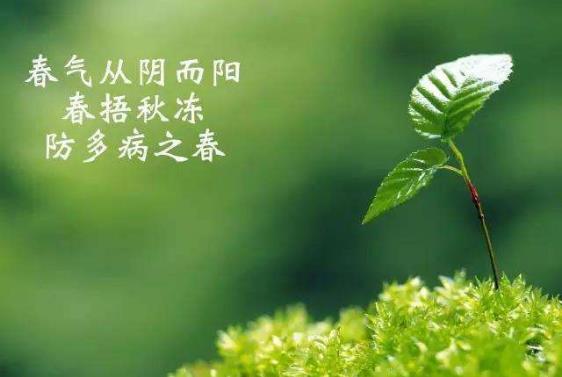 春天怎么捂最健康養生？愛美女人別過早換裝，春捂最佳穿衣原則