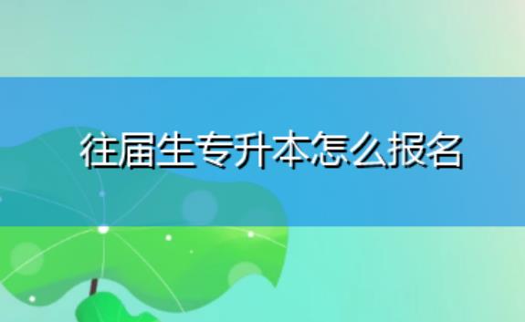 往屆生可以專升本嗎？專升本的含金量怎樣
