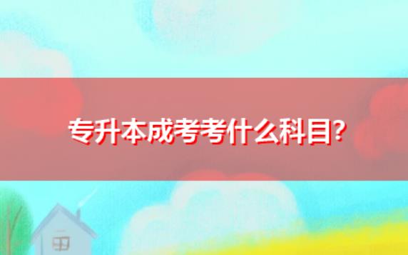 專升本成人自考考什么？專升本國(guó)家承認(rèn)嗎
