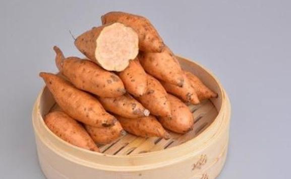 雪蓮果是地瓜嗎？雪蓮果的種植季節(jié)和方法