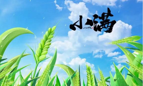 小滿之后為什么沒有大滿？小滿中的滿是什么意思