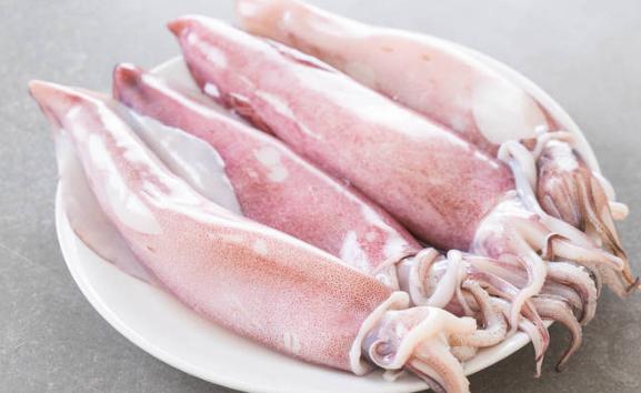 魷魚是烏賊還是章魚？魷魚的保存方法