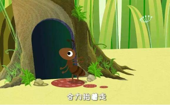 螞蟻洞是大自然的指南針嗎？小黃螞蟻怎么來的