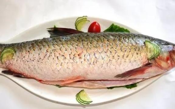 怎么挑選新鮮的草魚？草魚哪些部位不能吃