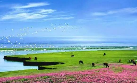 中國五大淡水湖都分別是什么？ 中國第一大淡水湖是哪個湖