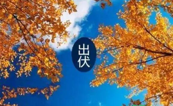 出伏是哪天？出伏吃什么水果好