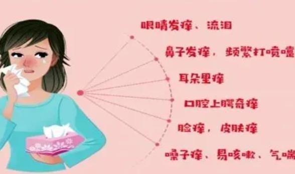 花粉過敏源有哪些？花粉過敏怎么回事