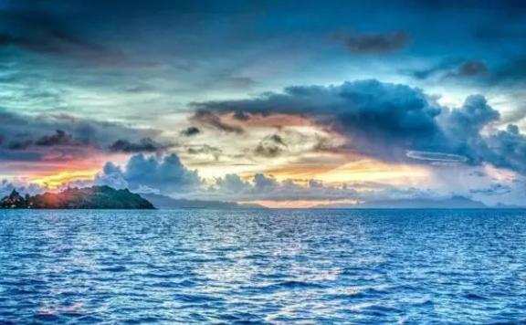 太平洋是世界上最大的海洋嗎？海洋動物有哪些