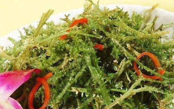 鹿角菜長(zhǎng)什么樣子？干鹿角菜的處理方法
