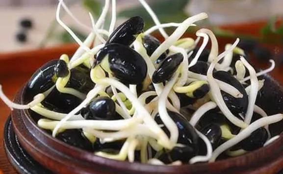 黑豆芽的好處和作用是什么？黑豆芽的詳細(xì)介紹