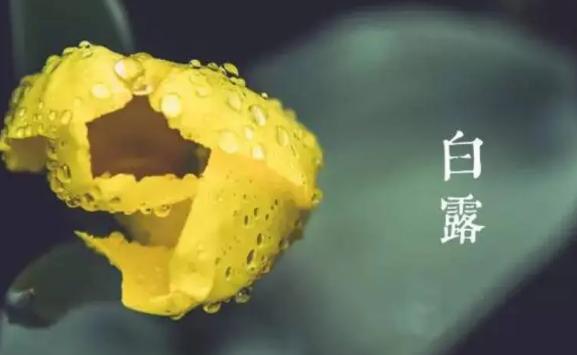 白露節氣如何養生？白露節氣養生吃什么