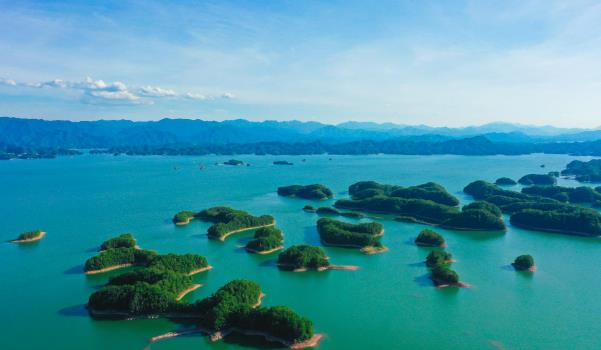 千島湖有哪些必吃的美食(千島湖魚頭、千島玉鱉、土雞煲等)