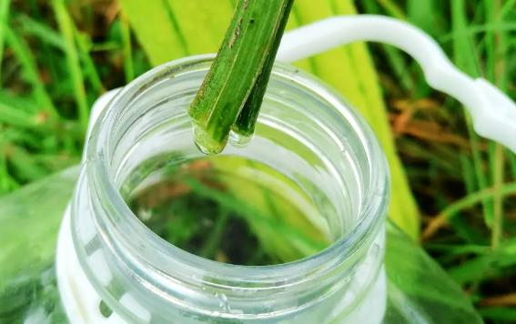 絲瓜水適合什么膚質？絲瓜水做噴霧怎么用