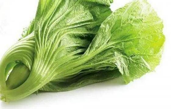 芥藍和芥菜的區別是什么呢？什么是芥藍